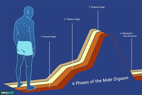 male orgas|Orgasm: What is it, what does it feel like, and more .